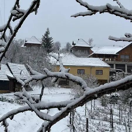 Seoski Turizam Domacinstvo Tosanic 아파트 Tripkova