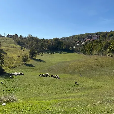 아파트 Seoski Turizam Domacinstvo Tosanic