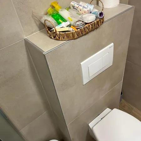 Seoski Turizam Domacinstvo Tosanic *