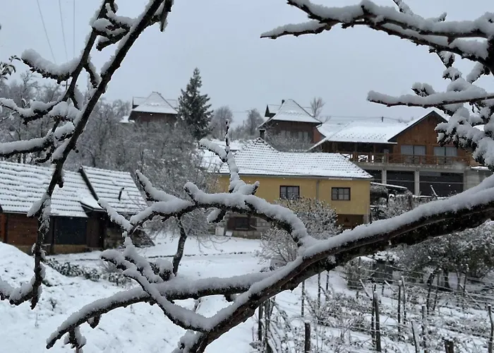 Seoski Turizam Domacinstvo Tosanic Апартаменты Tripkova