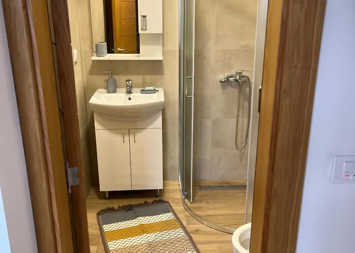 Seoski Turizam Domacinstvo Tosanic Апартаменты *