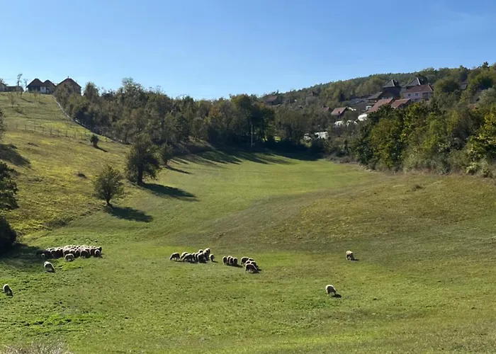 Апартаменты Seoski Turizam Domacinstvo Tosanic